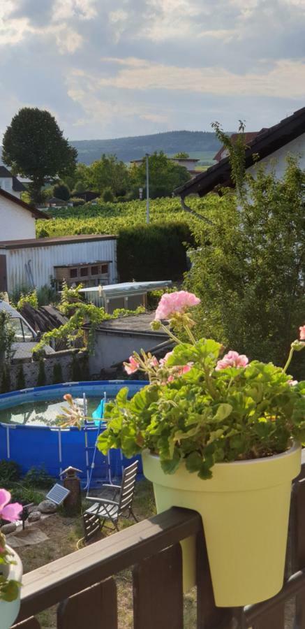 Ferienwohnung Weingut Leis Oestrich-Winkel Exterior photo